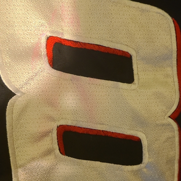 #8 Dale Earnhardt Jr.  Windbreaker - Picture 3 of 3